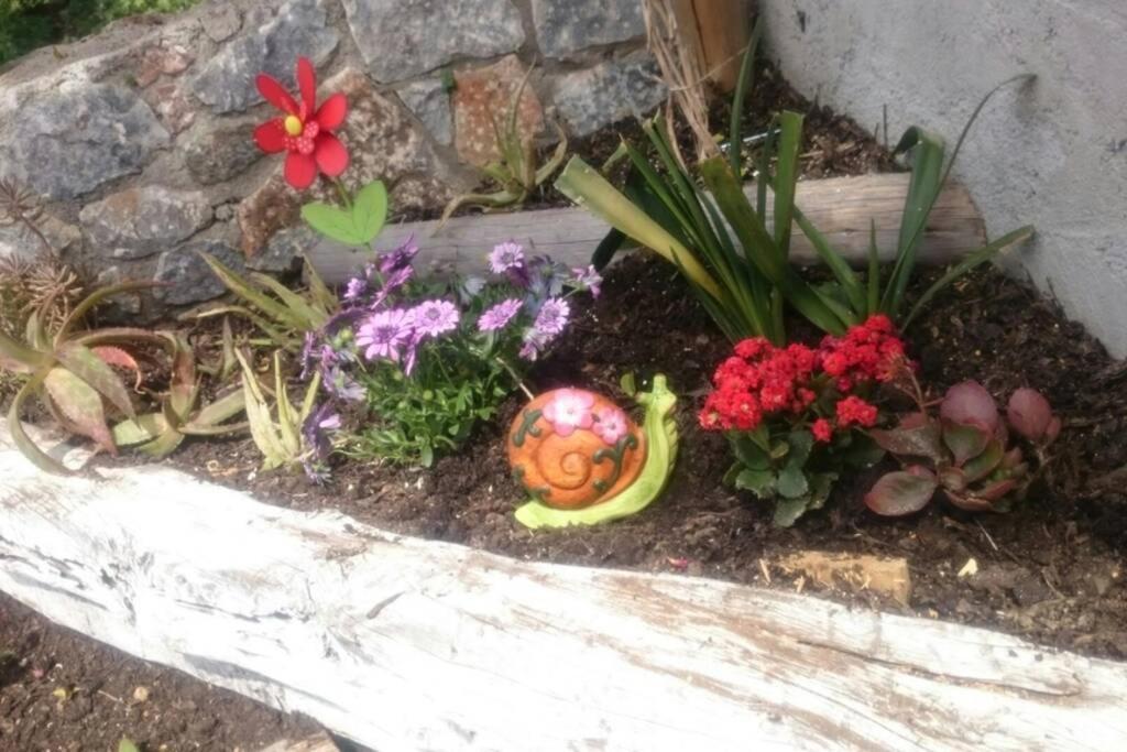 Nemesis Paleochora Appartamento La Canea Esterno foto